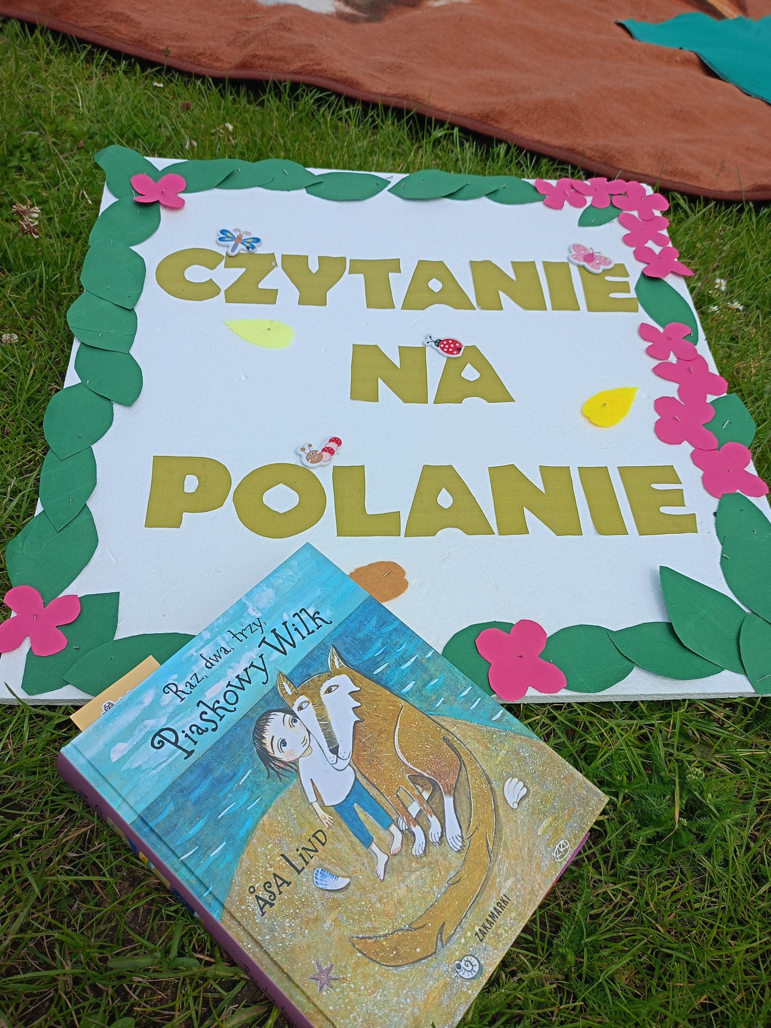 Read more about the article Czytanie na Polanie